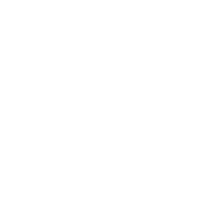 a madeiras logo transparent